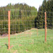 Forest and highway fence